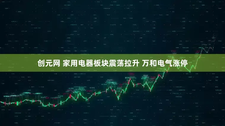 创元网 家用电器板块震荡拉升 万和电气涨停